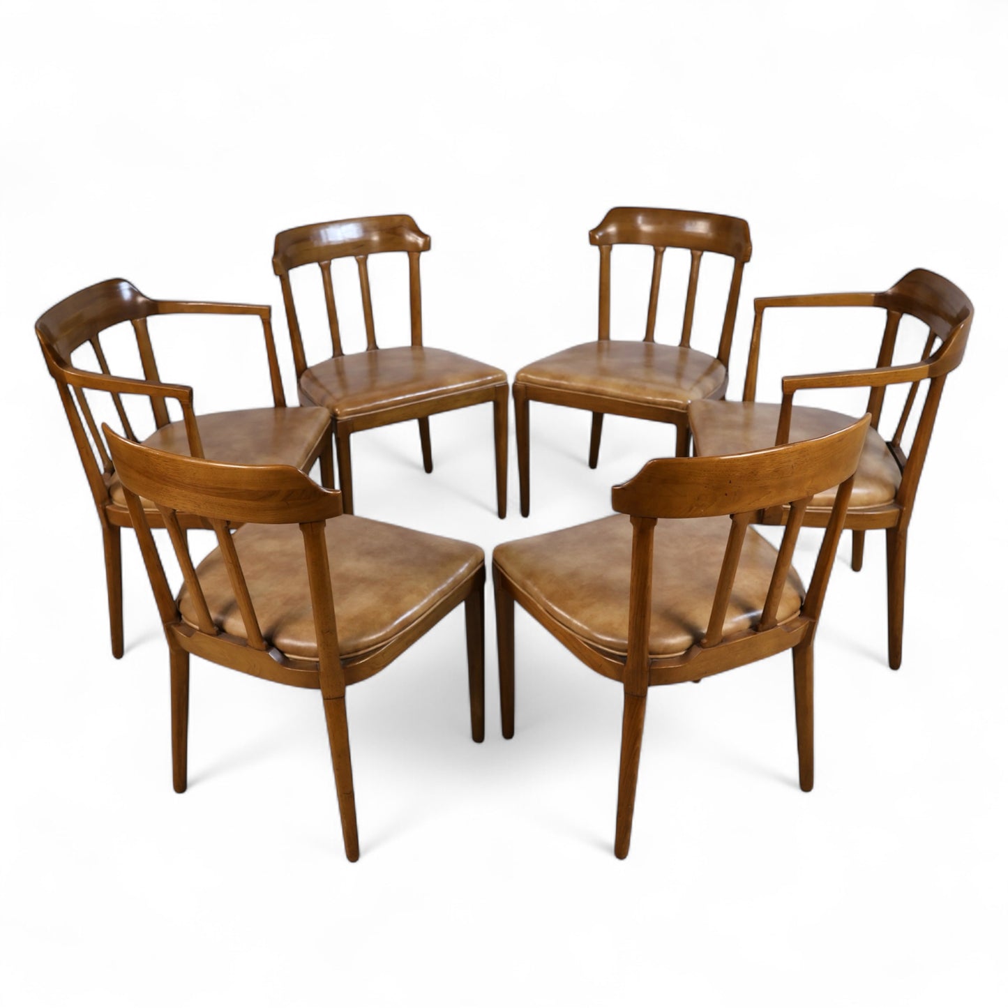 Grouped shot of all six Tomlinson dining chairs arranged in a row with even spacing