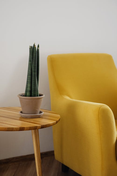 The Ultimate Guide to Cleaning, Preserving, and Caring for Your Mid Century Modern Vintage Furniture
