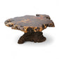 Original Star Dust Redwood Burl Root Vintage Mid Century Modern Free Form Coffee Table c. 1960s
